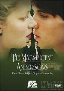 《安伯森情史》 《安伯森情史》