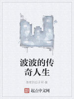 波波的傳奇人生 波波的傳奇人生