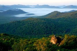 金龍山國際旅遊度假區 金龍山國際旅遊度假區