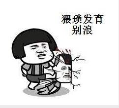 猥瑣發育別浪[網路流行詞]