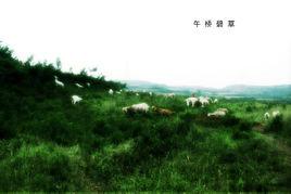 午橋碧草 午橋碧草