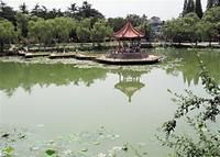 太平山中央公園一角