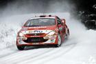 world WRC