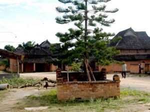 曼邁辦村 曼邁辦村