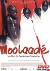 穆拉戴Moolaadé(2004)