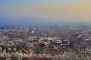 鎮平櫻桃溝 鎮平櫻桃溝