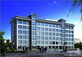 禮縣實驗中學 禮縣實驗中學