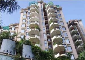 金碧苑一期 金碧苑一期