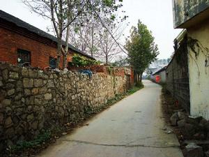 齊村鎮[山東省棗莊市市中區齊村鎮]