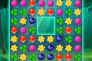 森林植物對對碰