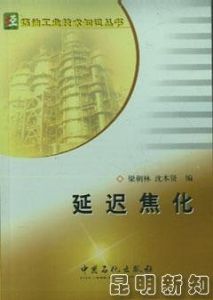 延遲焦化 延遲焦化
