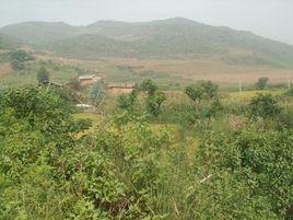 阿三龍壩心村 阿三龍壩心村