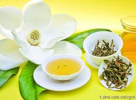 鼠尾草茶 鼠尾草茶