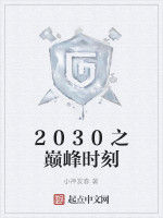 2030之巔峰時刻 2030之巔峰時刻