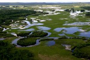 南瓮河國家級自然保護區 南瓮河國家級自然保護區