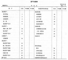 集體經濟年度會計報表
