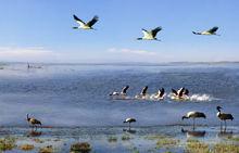 貴州畢節威寧草海