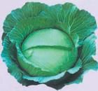 京豐一號 京豐一號