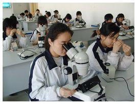 珠寶專業 珠寶專業