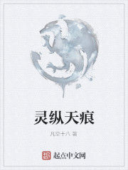 靈縱天痕 靈縱天痕