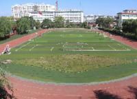 杏花嶺二中 杏花嶺二中