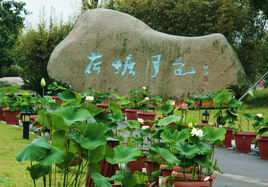 菏塘月色濕地公園