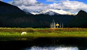 美麗的西藏高原