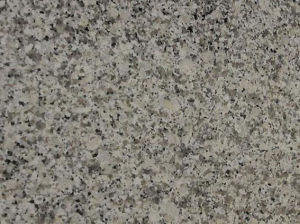 薩爾多白 | White Sardo |