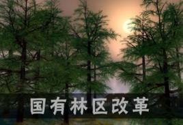 國有林場改革方案 國有林場改革方案