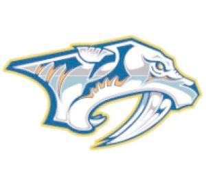 納什維爾掠奪者