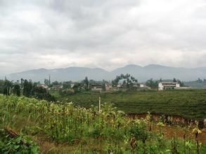 柿子自然村 柿子自然村