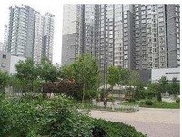 青年路西里 青年路西里