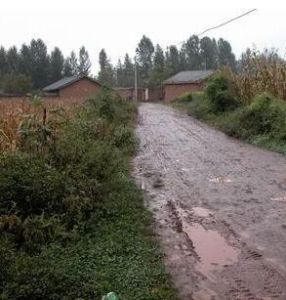 李家院子村 李家院子村