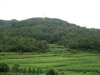 谷魯屋基村山地