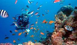 水底蘑菇 水底蘑菇