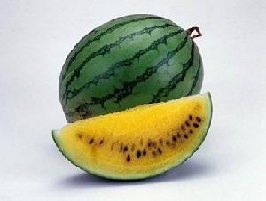 同州西瓜 同州西瓜