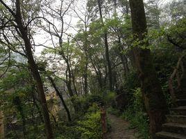 理想嶺域 理想嶺域