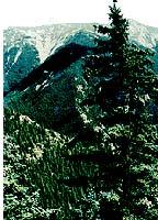 賀蘭山原始森林旅遊區 賀蘭山原始森林旅遊區