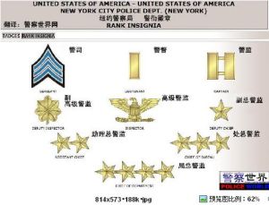 紐約警察局警銜徽章