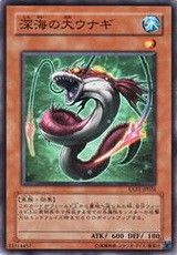 深海大鰻 深海大鰻