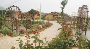 民俗食帛園 民俗食帛園