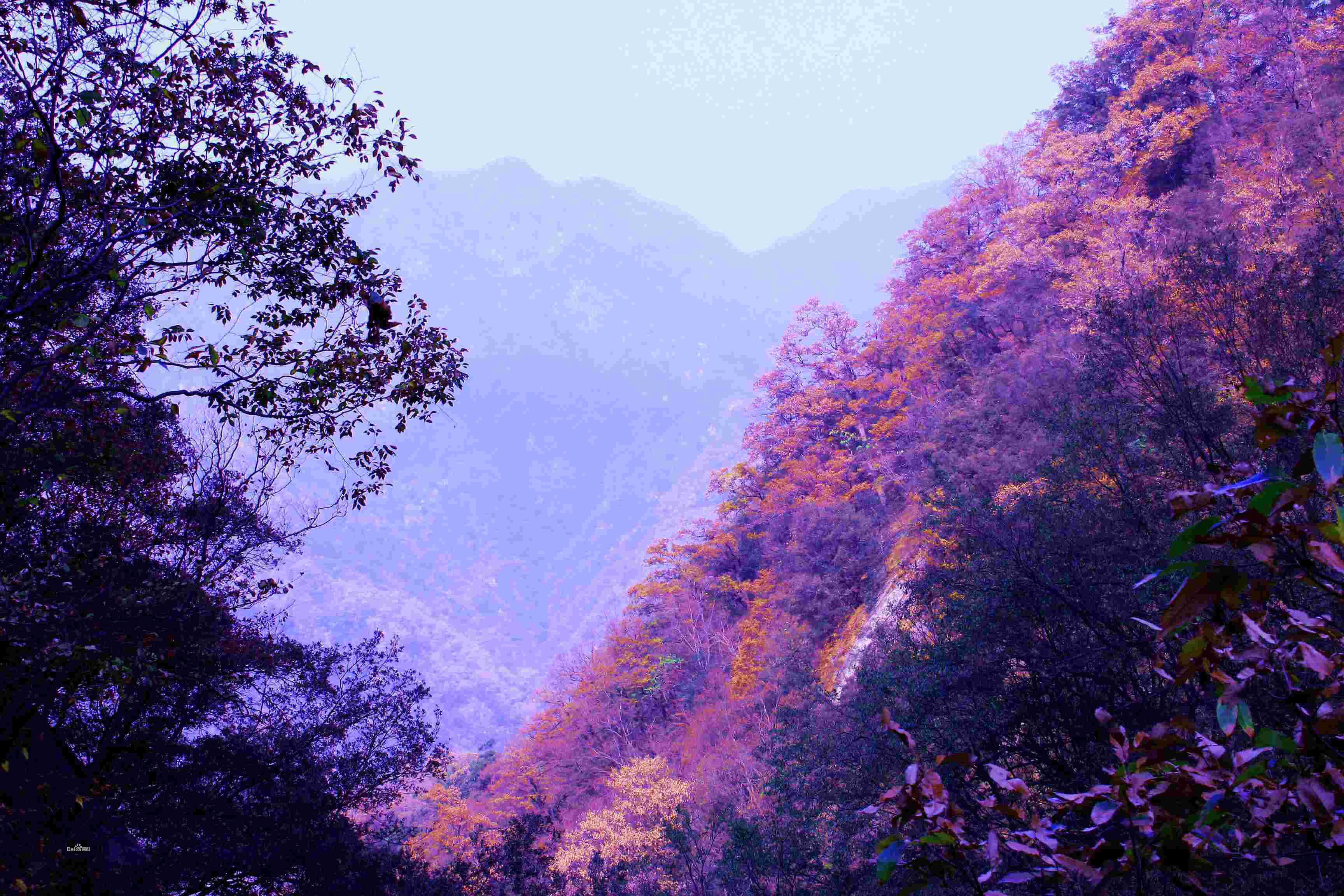 南陽南召寶天曼景區