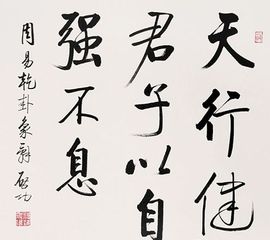 天行健,君子以自強不息 天行健,君子以自強不息