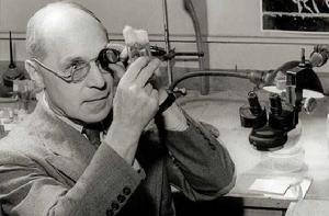 繆勒[美國遺傳學家]