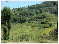 坡頭田自然村 坡頭田自然村