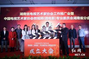 湖南微視頻專業委員會 湖南微視頻專業委員會