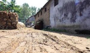 徐家官莊村 徐家官莊村