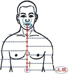 上脘穴 上脘穴