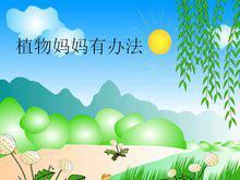 植物媽媽有辦法