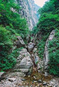 五嶽寨國家森林公園